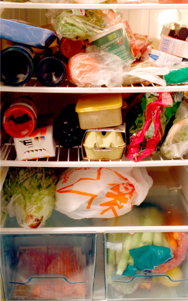 This is NOT Gayle's refrigerator.